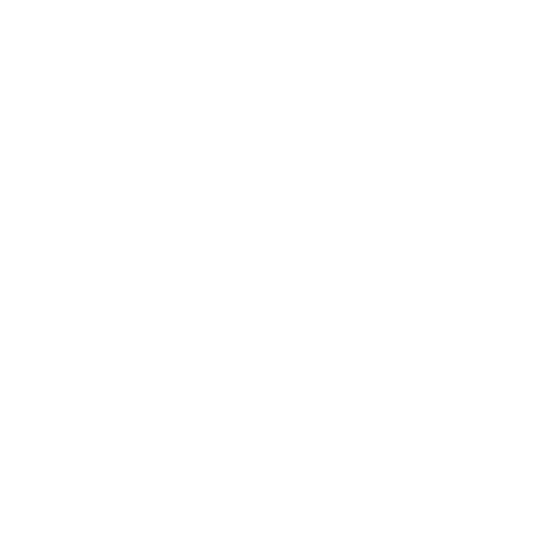 emailIcon