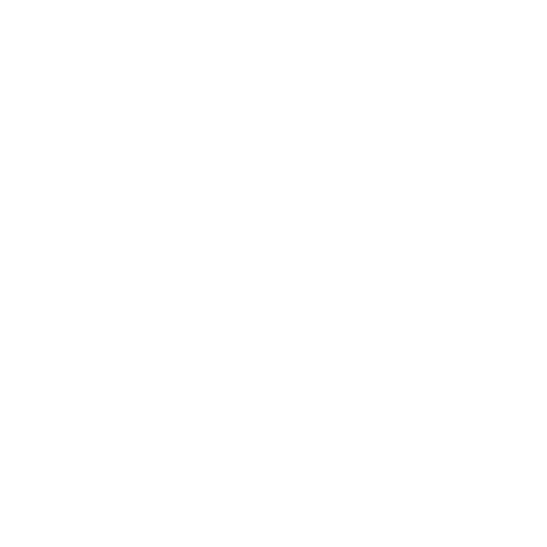 phoneIcon